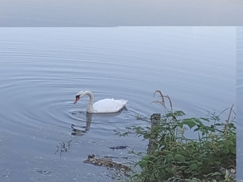 Industrial pipes and sunset