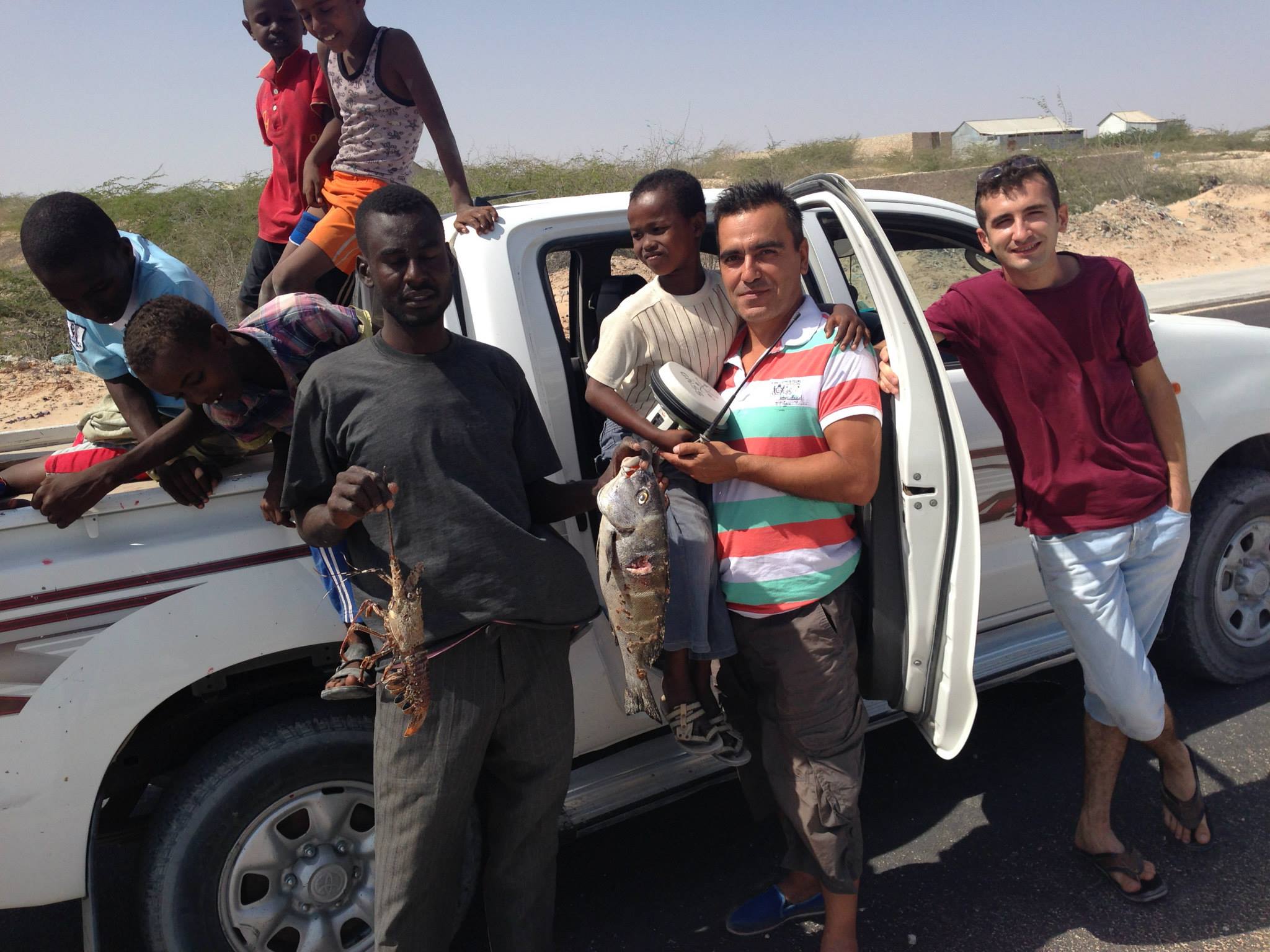 Swans near the water treatment pond