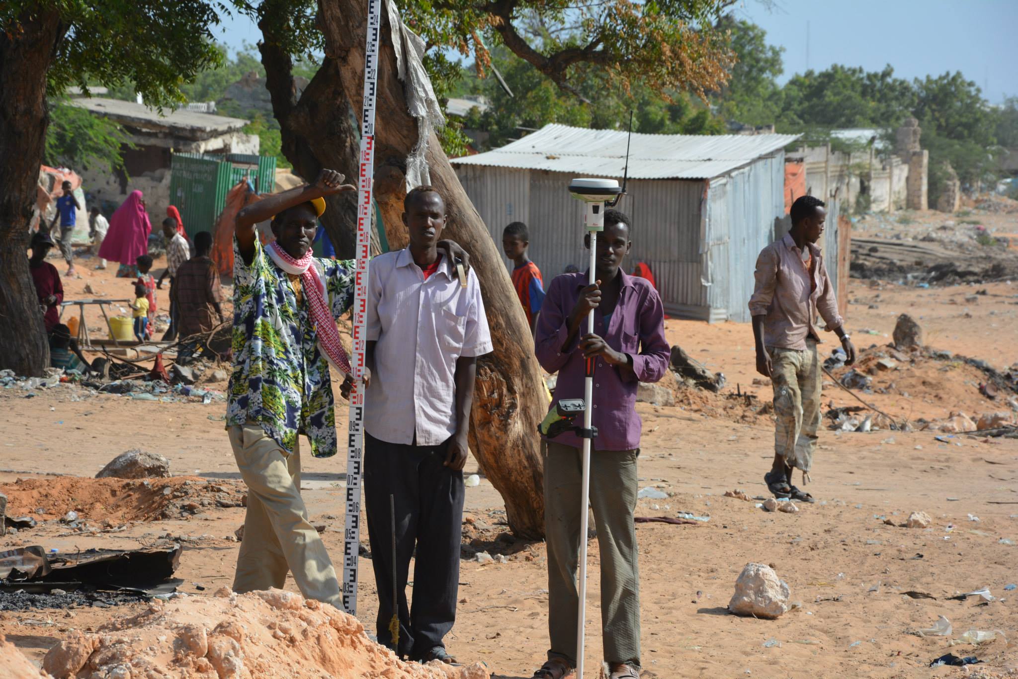 Forest edge near factory