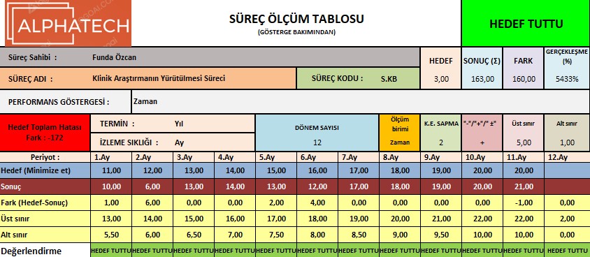 Process Tracking Form Preview